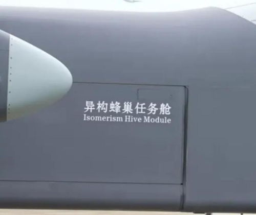 异构蜂巢任务舱结构图