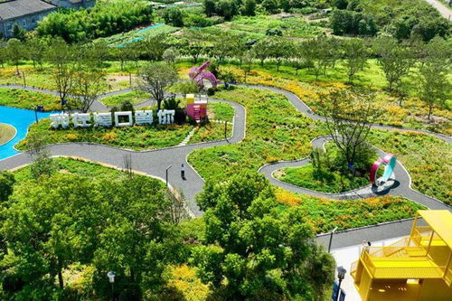 一片阳光下的花园，五彩斑斓的花朵竞相开放