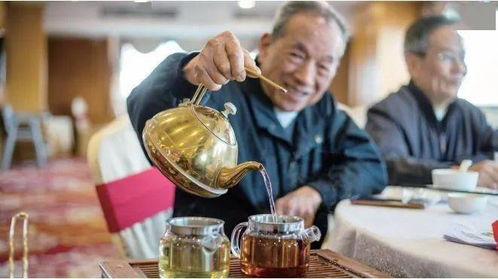 餐厅内游客们用餐场景
