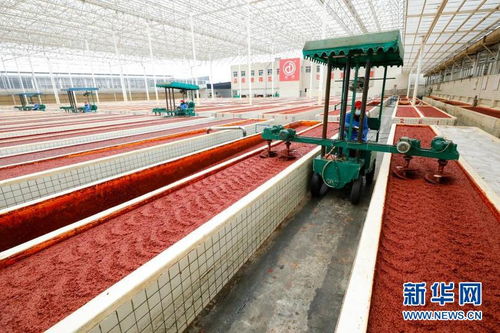 郫县豆瓣：川菜之魂如何成就中国餐饮文化新高度