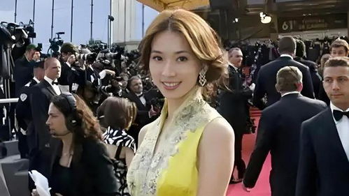 林志玲携三岁儿子亮相戛纳红毯