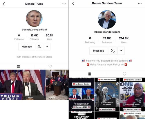 TikTok上的特朗普账号页面截图