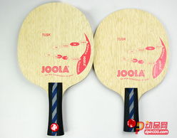 专业乒乓球拍结构分解图