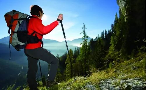 少年登山背包背影图