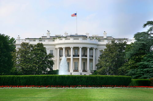 奥巴马回应拜登确诊癌症？真相背后，舆论风暴再起