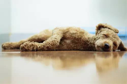 手机拍大片第五招，原来高手都在用这个技巧！