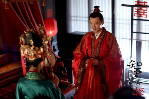 盛明兰与顾廷烨并肩而立