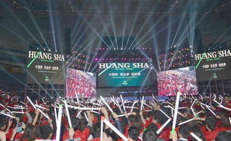 演唱会现场示意图