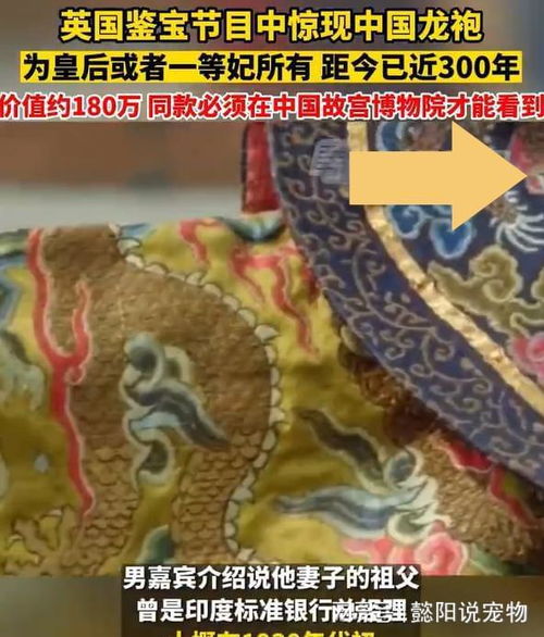 英国鉴宝节目中的中国龙袍