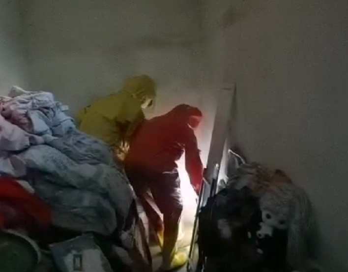 蛇藏在车辆底盘下