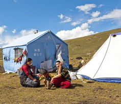草原上的牧民和帐篷
