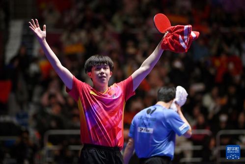 王楚钦庆祝胜利