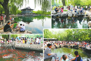 端午节温泉度假村游客众多