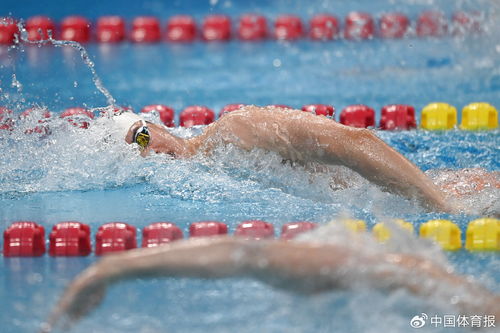 潘展乐在全国游泳冠军赛领奖台