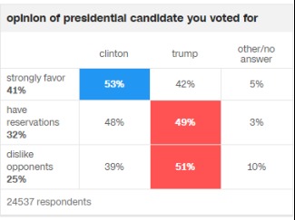 民意调查显示选民关注焦点不同