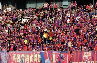 青岛球队庆祝夺冠