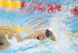 孙杨比赛中专注神情