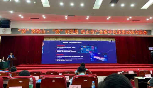 数字时代的企业进化法则：从基座到未来，我的数智化转型实战手记