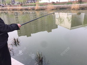 一位老人正在专注地钓鱼