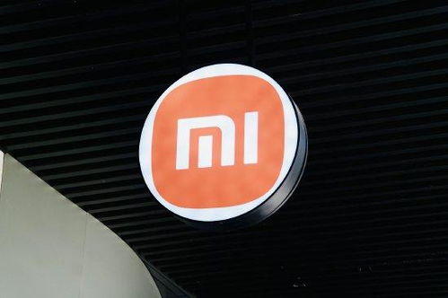 玄戒O1芯片概念图