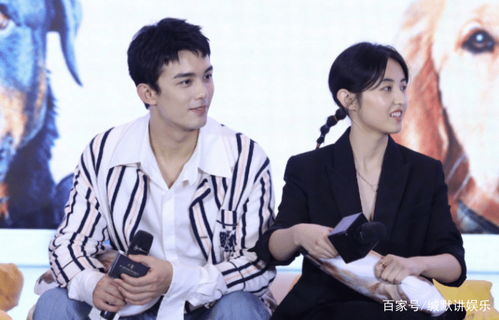 吴磊的乐事来一片吗？网友笑疯：这波联动太会玩了