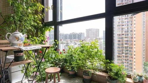 阳台上摆放的绿色植物