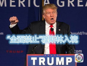 特朗普放话要对哈里斯展开重大调查？背后真相令人震惊！