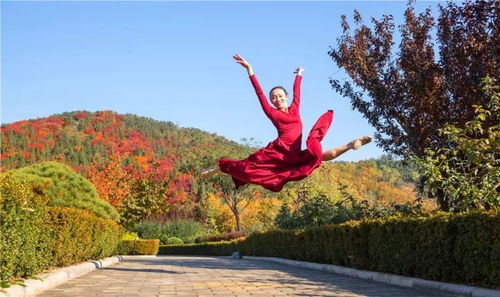 如意在庭院中翩翩起舞