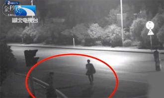 刑侦技术人员分析DNA数据