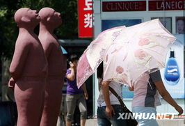 河南高温来袭，我亲历的酷热天气与生存指南