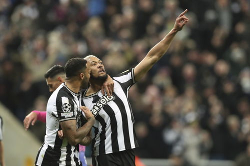 纽卡斯尔联球员庆祝胜利