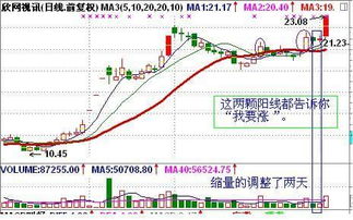 股市上涨趋势图显示鸿蒙相关股票飙升