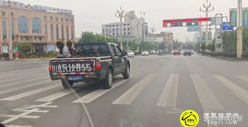 公务用车集中采购新规：国产车+新能源成首选，释放了什么信号？