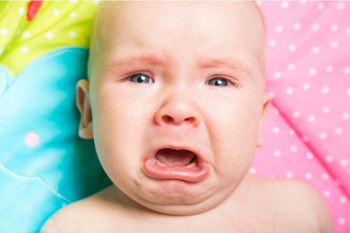 原来难带的孩子是天生的？微博热搜背后的育儿真相