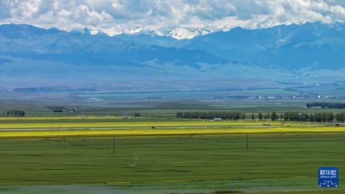 新疆美景雪山与草原