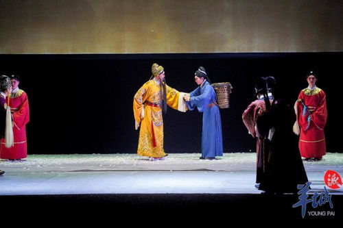 张九龄舞台风采