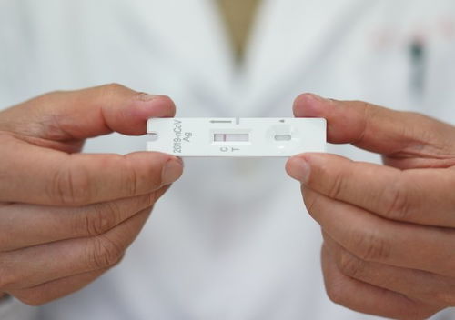 新冠抗原检测结果