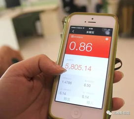 财商小白的自救指南：从零开始打造你的财富思维