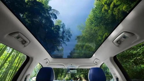 夏天来了，全景天幕晒死人不偿命？车主们各出奇招自救！