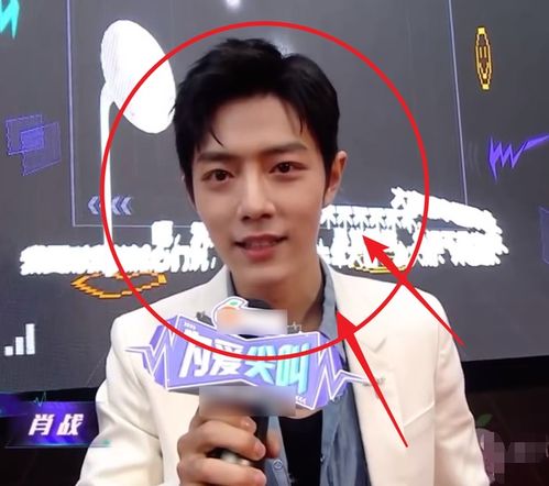 肖战微笑面对镜头