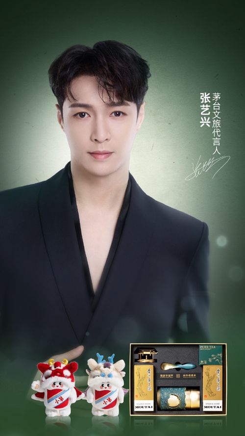 茅台文旅代言人张艺兴出席活动图