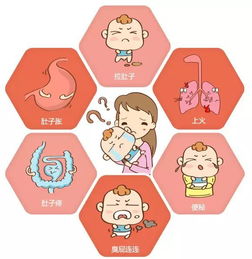 肠道菌群与免疫系统互动图解