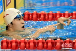 孙杨在训练馆认真训练