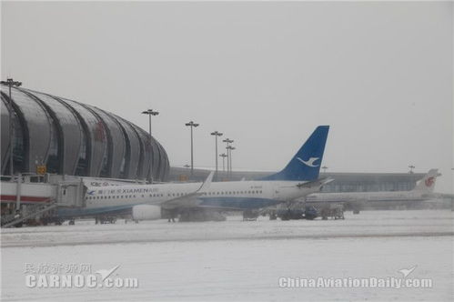 母子错过航班大闹机场？真相曝光引热议！