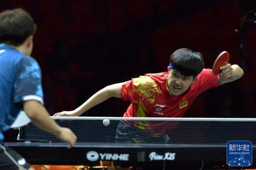 王楚钦在亚洲杯比赛中庆祝得分