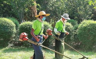 此轮大范围高温天气成因是什么？专家详解背后的自然力量