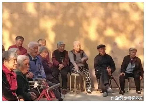 一群老人围坐在一起聊天