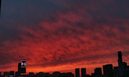 贵阳市民拍摄的闪电照片分享到社交平台