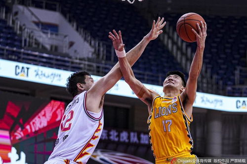 孙铭徽在总决赛中的精彩突破