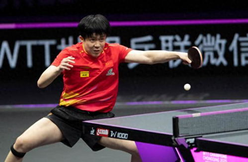 刘丁硕称王楚钦球拍损坏只有一种可能，真相曝光令人唏嘘